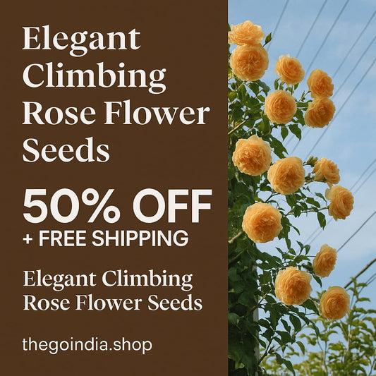 Elegant Climbing Red Rose Flower Seeds – Fast Growth, Imported Quality, 200gm Pack (45–60 Days Bloom)
